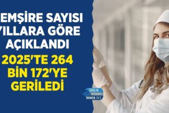 2016’da 151 bin 728 olan hemşire sayısı 2025’te 264 bin 172’ye yükseldi